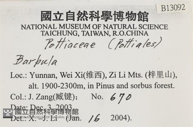 登錄號:B00013092藏品圖，第2張