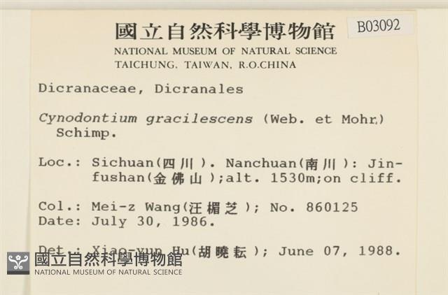 狗芽蘚藏品圖，第2張