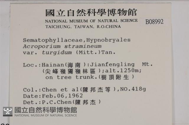 登錄號:B00008992藏品圖，第2張