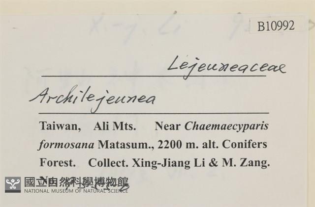 登錄號:B00010992藏品圖，第2張