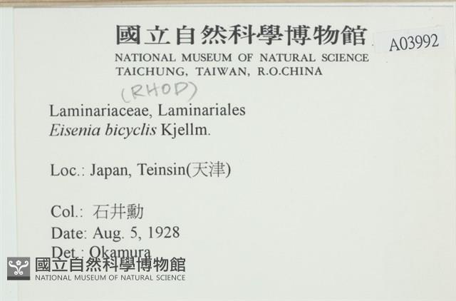 登錄號:A00003992藏品圖，第2張