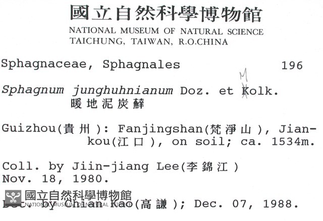 暖地泥炭蘚藏品圖，第2張