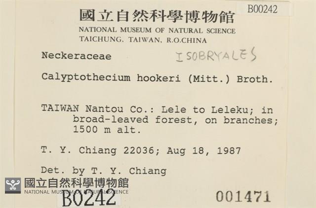 登錄號:B00000242藏品圖，第2張