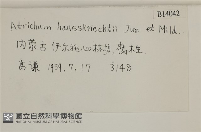 仙鶴蘚藏品圖，第2張