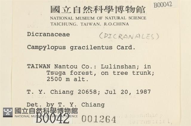 登錄號:B00000042藏品圖，第2張