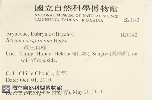 叢生真蘚藏品圖，第2張