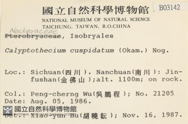 登錄號:B00003142藏品圖，第2張