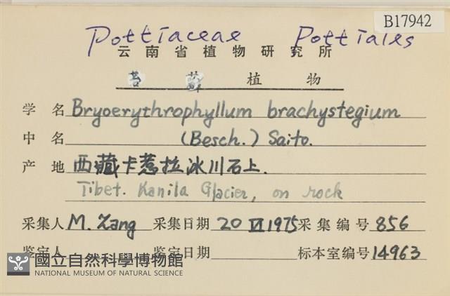 登錄號:B00017942藏品圖，第2張