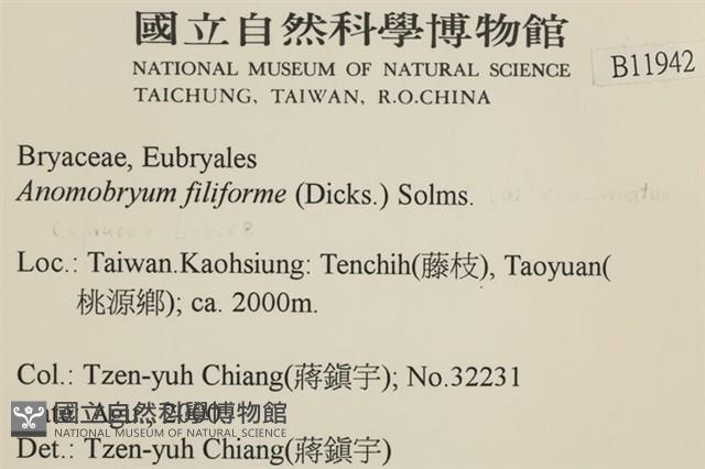 登錄號:B00011942藏品圖，第2張