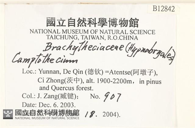 登錄號:B00012842藏品圖，第2張