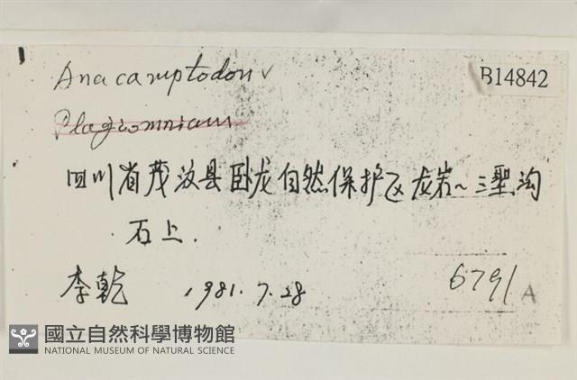 登錄號:B00014842藏品圖，第2張