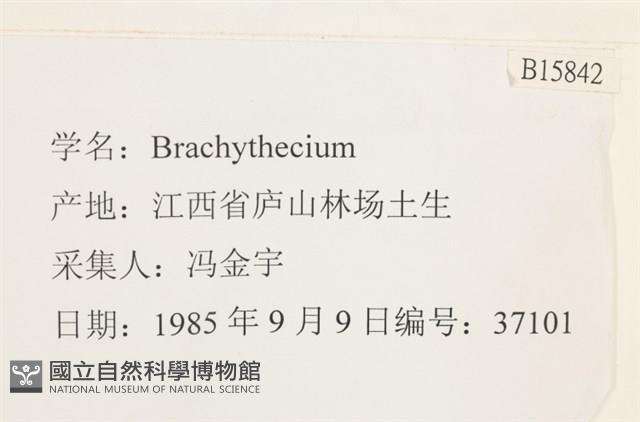 登錄號:B00015842藏品圖，第2張