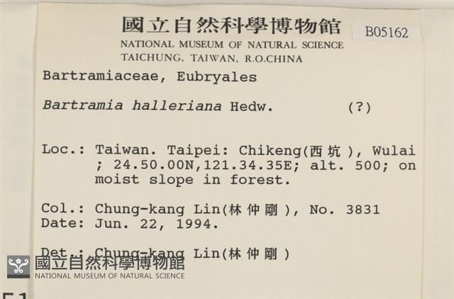 登錄號:B00005162藏品圖，第2張