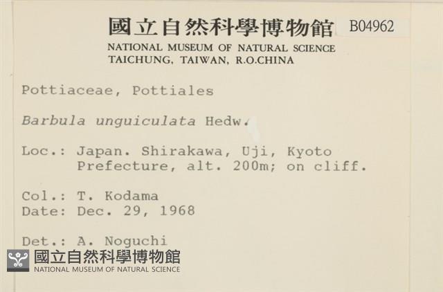 扭口蘚藏品圖，第2張