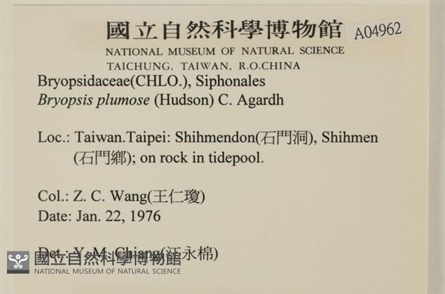 登錄號:A00004962藏品圖，第2張