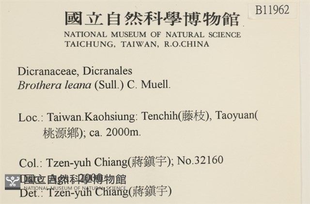 登錄號:B00011962藏品圖，第2張