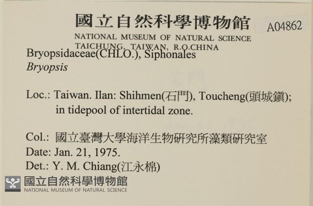 登錄號:A00004862藏品圖，第2張