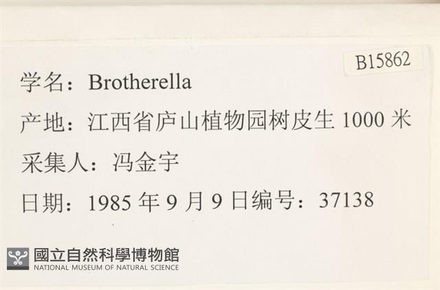 登錄號:B00015862藏品圖，第2張