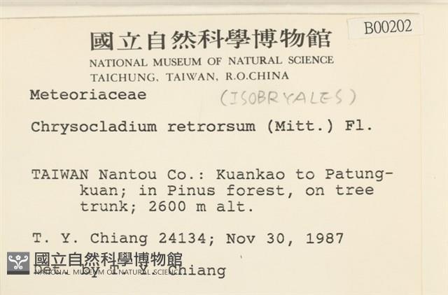 登錄號:B00000202藏品圖，第2張