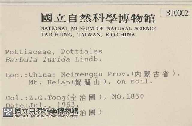 登錄號:B00010002藏品圖，第2張