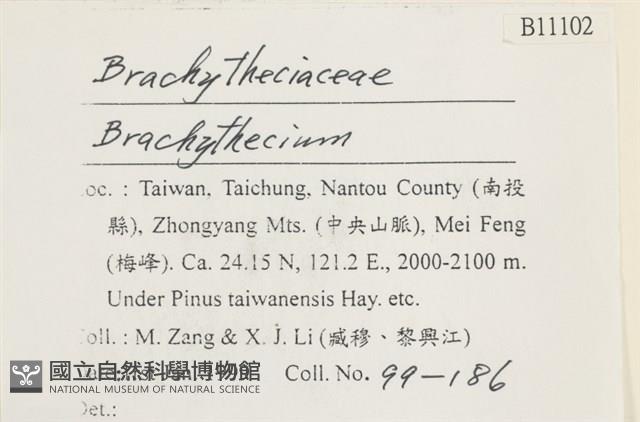 登錄號:B00011102藏品圖，第2張