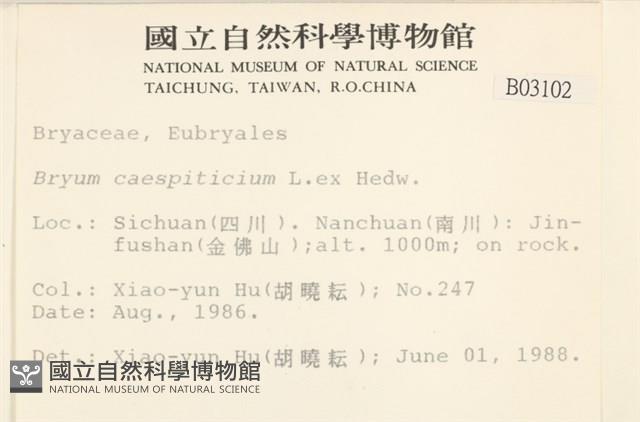 叢生真蘚藏品圖，第2張