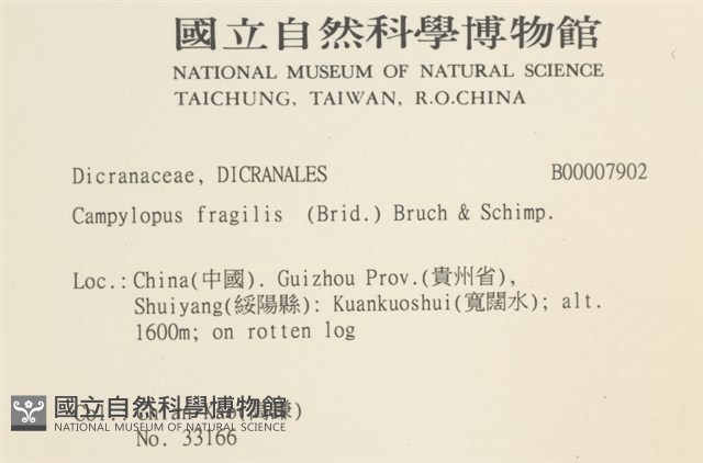 脆枝曲柄蘚藏品圖，第2張