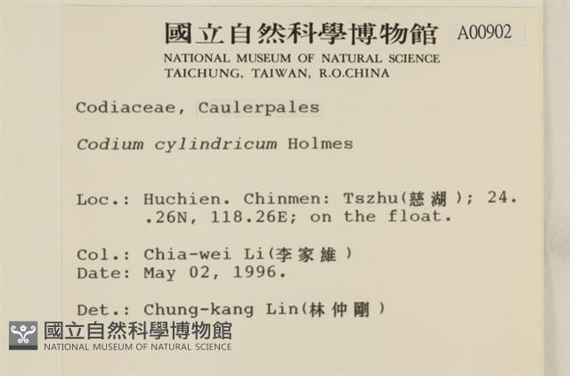 登錄號:A00000902藏品圖，第2張