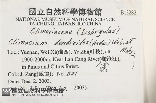 登錄號:B00013282藏品圖，第2張