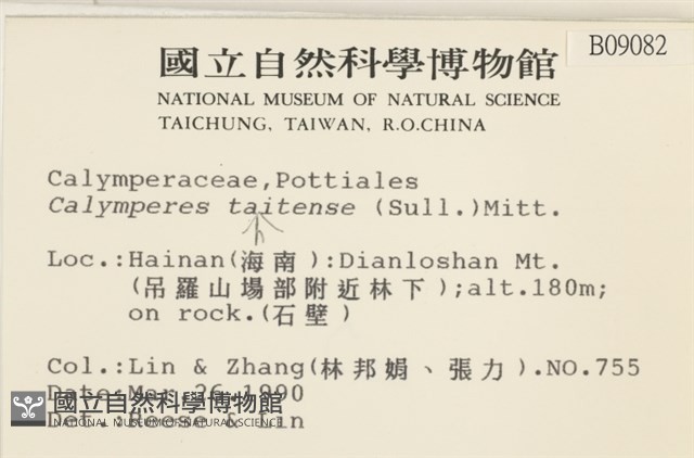 海島花葉蘚藏品圖，第2張