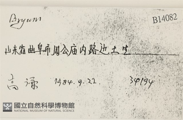 登錄號:B00014082藏品圖，第2張
