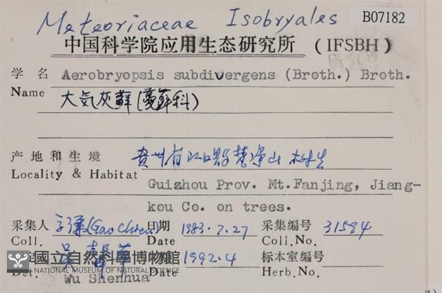 大灰氣蘚藏品圖，第2張