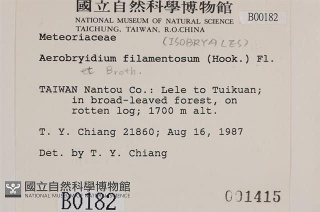 毛扭蘚藏品圖，第2張