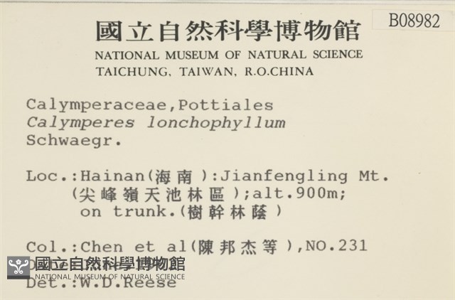 登錄號:B00008982藏品圖，第2張