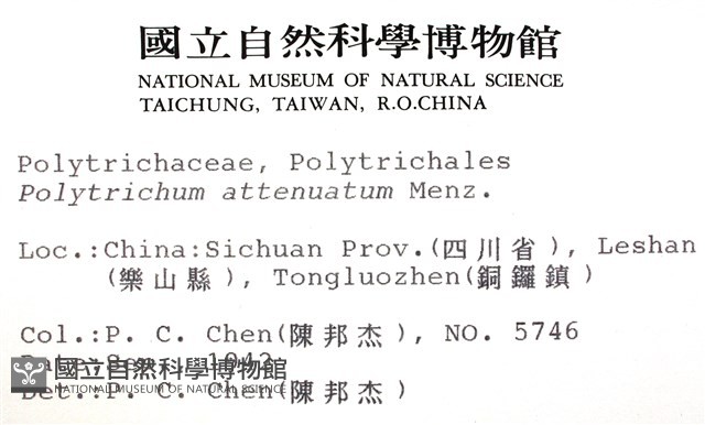 登錄號:B00009982藏品圖，第2張
