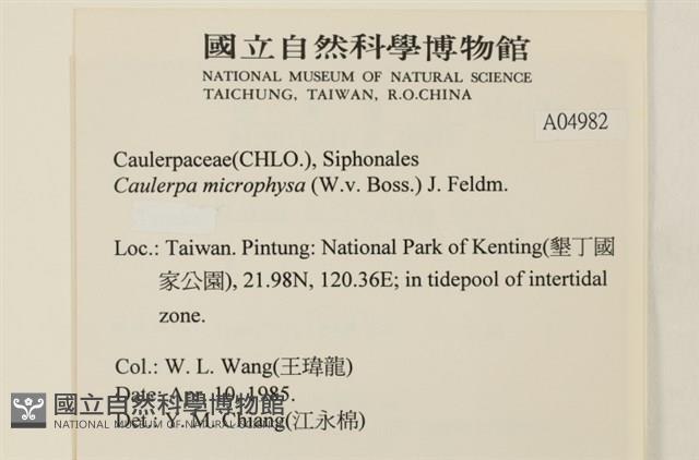 登錄號:A00004982藏品圖，第2張