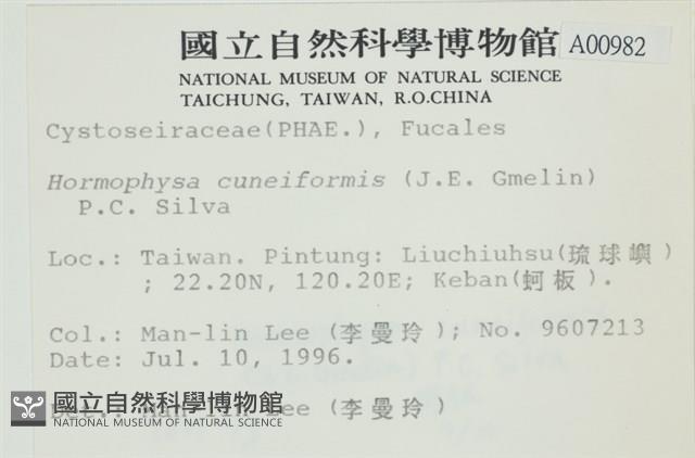 登錄號:A00000982藏品圖，第2張