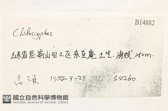 登錄號:B00014882藏品圖，第2張