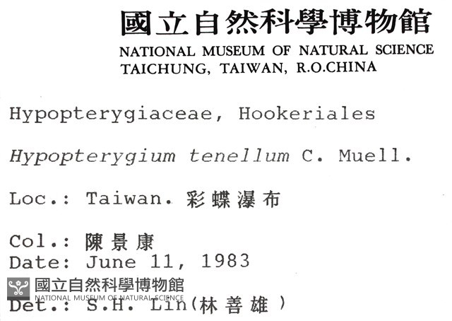 南亞孔雀蘚藏品圖，第2張