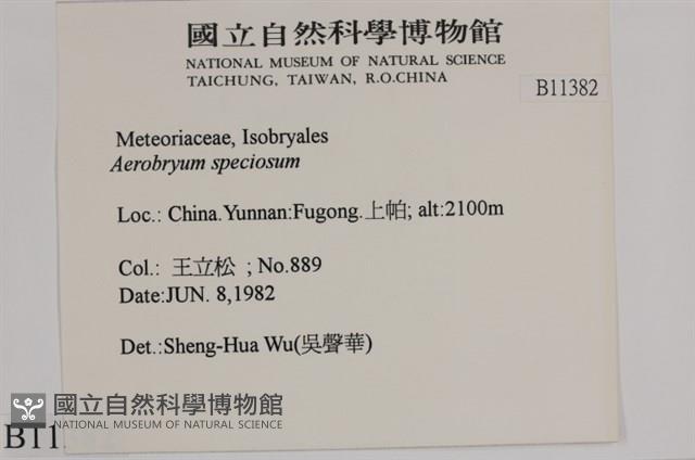 Accession Number:B00011382 Collection Image, Figure 2, Total 2 Figures