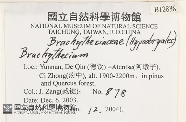 登錄號:B00012838藏品圖，第2張