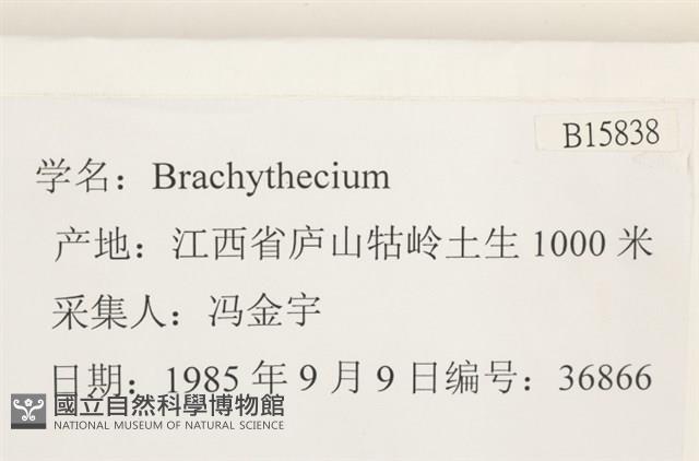 登錄號:B00015838藏品圖，第2張