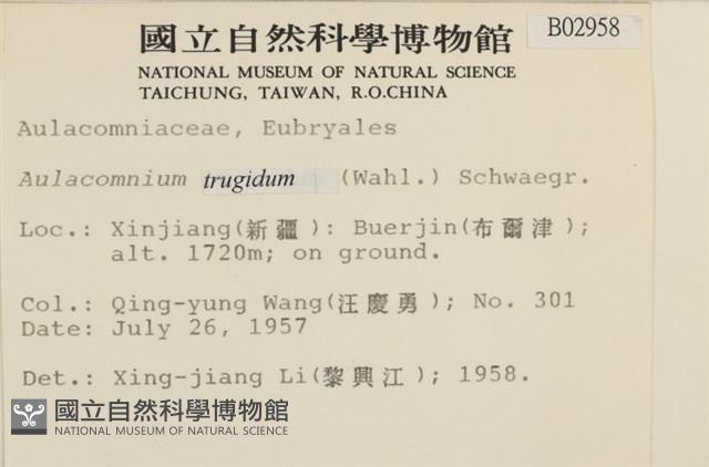 登錄號:B00002958藏品圖，第2張