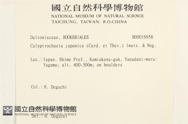 登錄號:B00016958藏品圖，第2張