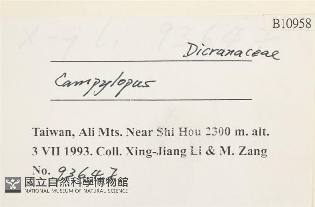 登錄號:B00010958藏品圖，第2張