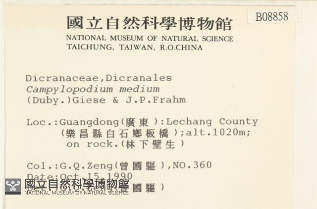 登錄號:B00008858藏品圖，第2張