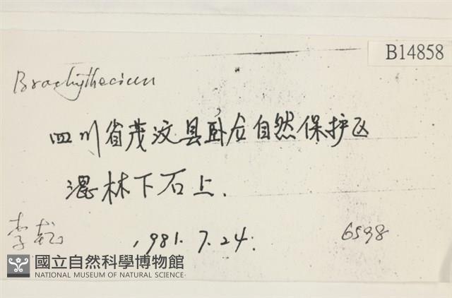 登錄號:B00014858藏品圖，第2張