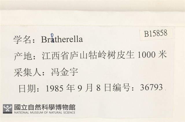 登錄號:B00015858藏品圖，第2張