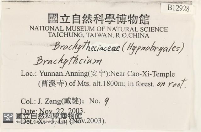 登錄號:B00012928藏品圖，第2張