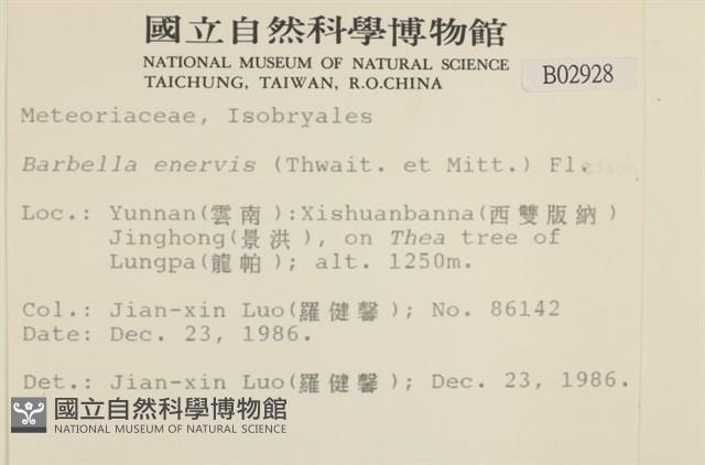 登錄號:B00002928藏品圖，第2張